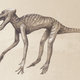 Image for article titled A Book That Will Make You Question Everything You Know About Dinosaurs